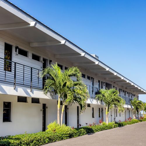 A row of modern, two-story buildings with balconies, surrounded by palm trees and greenery, under a clear blue sky.