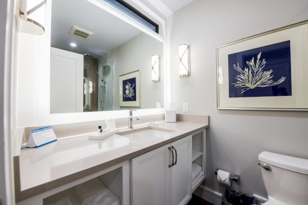 A modern bathroom with a large mirror, white countertop, dual sinks, wall art, a toilet, and a glass shower enclosure.