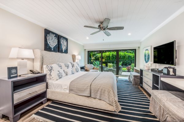 A modern bedroom with a large bed, nightstands, lamps, a ceiling fan, a TV, and a striped rug; sliding glass doors open to greenery outside.