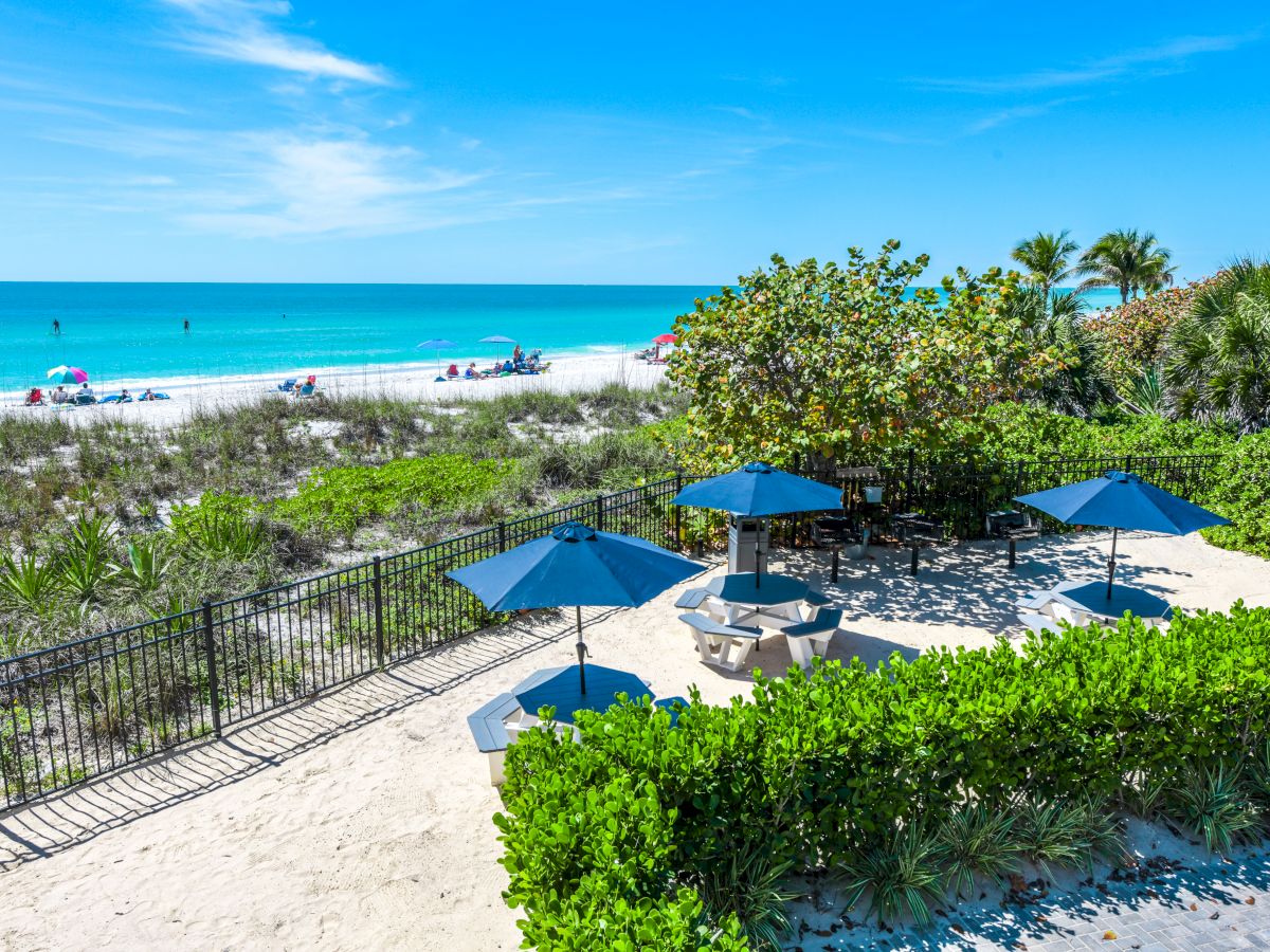 A beautiful beach scene with blue ocean, sandy shore, beach chairs, umbrellas, greenery, and a fence in the foreground under a clear blue sky.