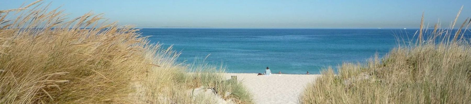 A serene beach scene with soft sand, tall grasses, and a distant view of the calm blue ocean under a clear sky.