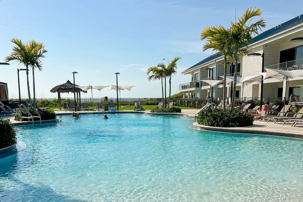 The image shows a serene swimming pool surrounded by lounge chairs, palm trees, and modern buildings under a clear blue sky.