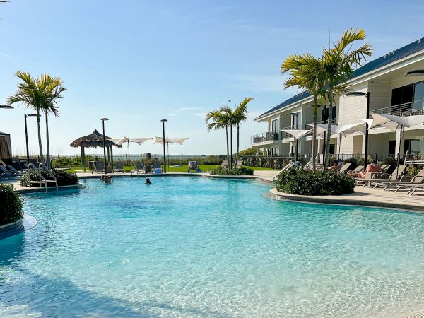 The image shows a serene swimming pool surrounded by lounge chairs, palm trees, and modern buildings under a clear blue sky.